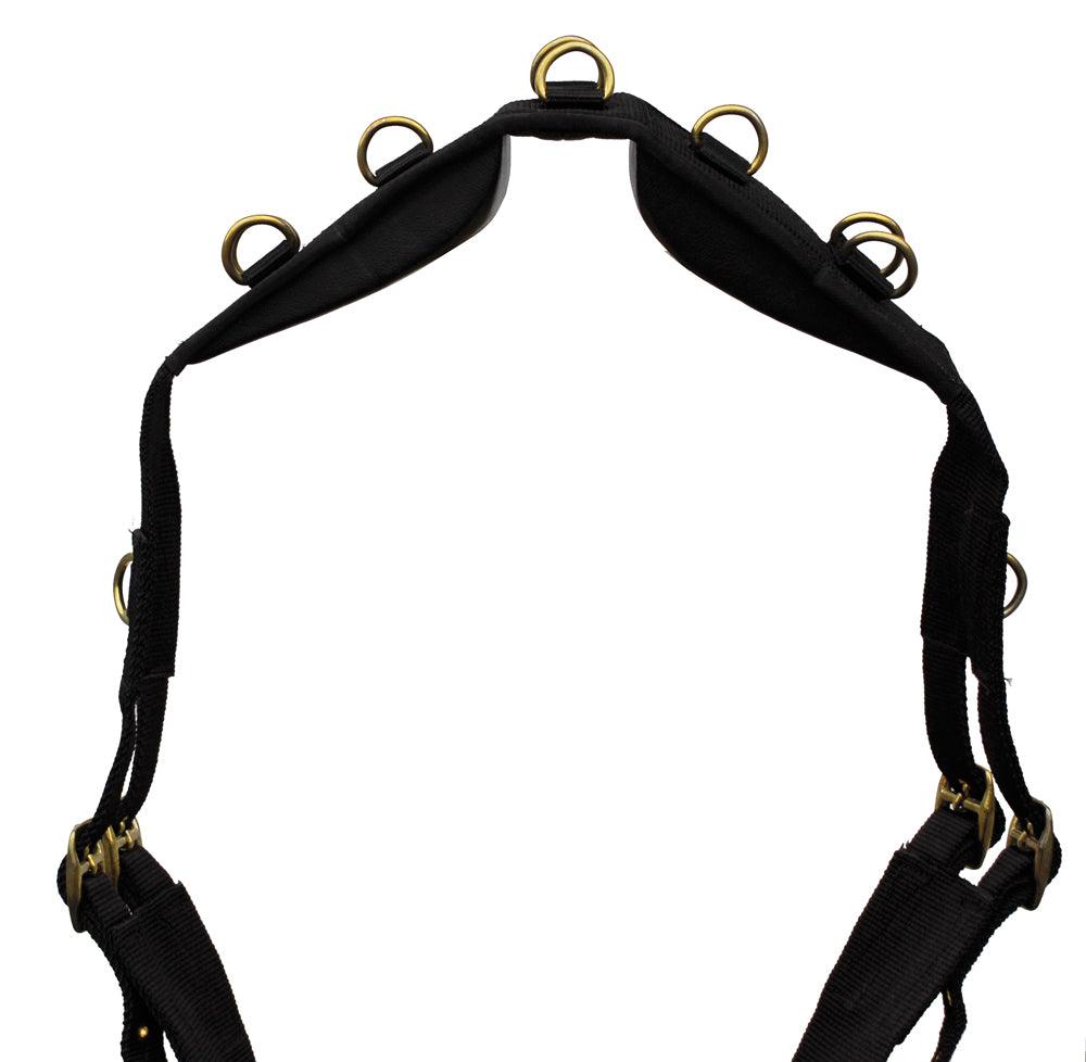 Rhinegold Surfaix en Nylon - SHOPHORSE